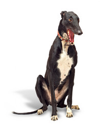 Similar image 935818