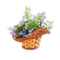 Similar image 935828