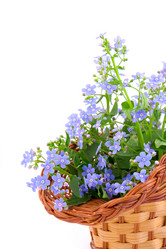 Similar image 935830