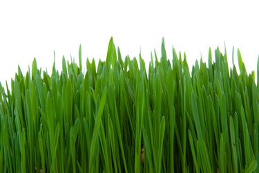 Similar image 935890