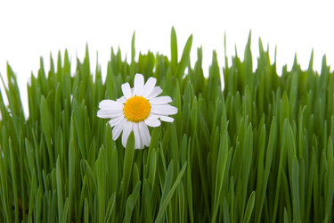 Similar image 935894