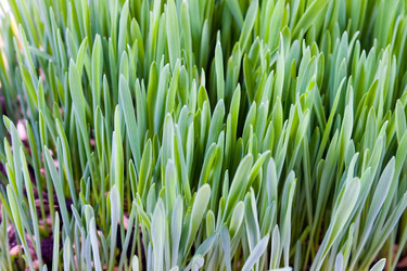 Similar image 935896