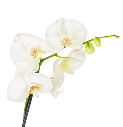 Similar image 935908