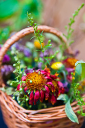 Similar image 935980