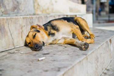 Similar image 935984