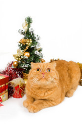 Similar image 936097