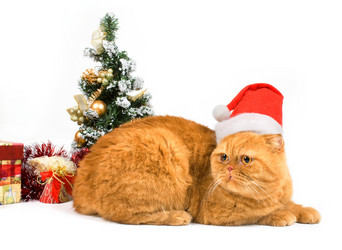 Similar image 936099