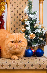 Similar image 936101