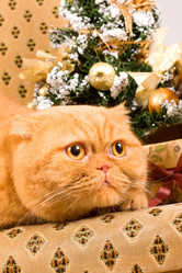 Similar image 936103