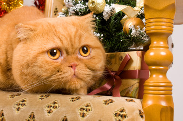 Similar image 936104