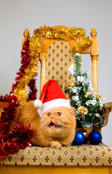 Similar image 936111