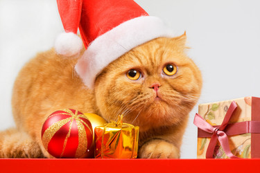 Similar image 936116