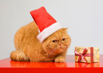 Similar image 936119