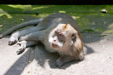 Similar image 936170