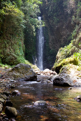 Similar image 936235