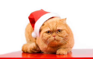 Similar image 936237