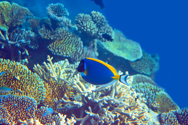 Similar image 936373