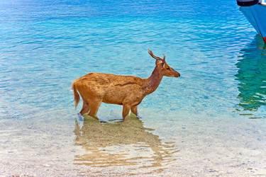 Similar image 936406