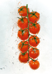 Similar image 936434