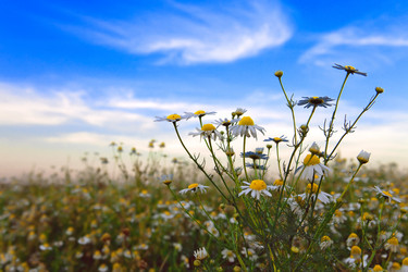 Similar image 936437