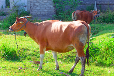 Similar image 936442