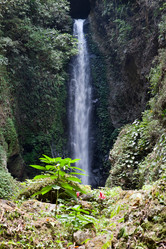 Similar image 936479