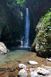 Similar image 936486