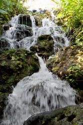 Similar image 936489