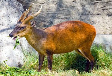 Similar image 936497