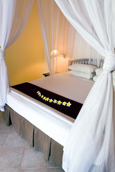 Similar image 936502