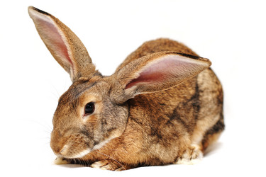 Similar image 936647