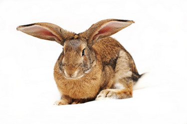 Similar image 936652