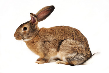 Similar image 936653