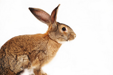 Similar image 936654