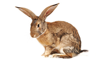 Similar image 936655