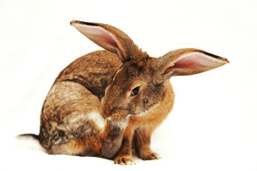 Similar image 936658