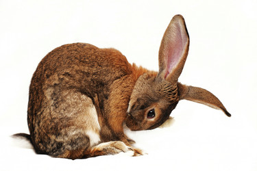 Similar image 936662