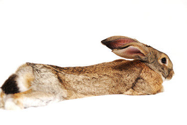 Similar image 936670