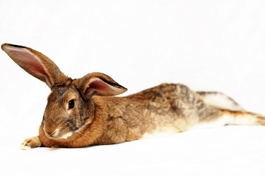 Similar image 936672