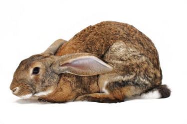 Similar image 936675