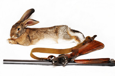 Similar image 936677