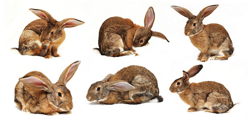 Similar image 936682