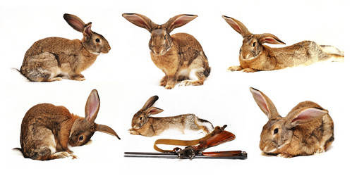 Similar image 936690