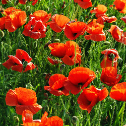 Similar image 936709