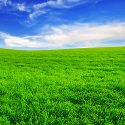 Similar image 936739