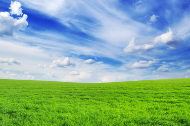 Similar image 936740