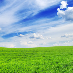 Similar image 936745