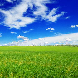 Similar image 936748