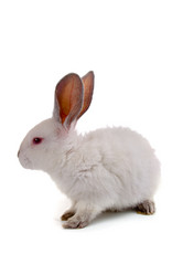 Similar image 936852