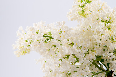 Similar image 936874